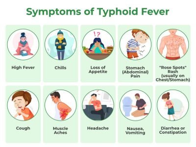 staredu_1695963973Symptoms-of-Typhoid-Fever